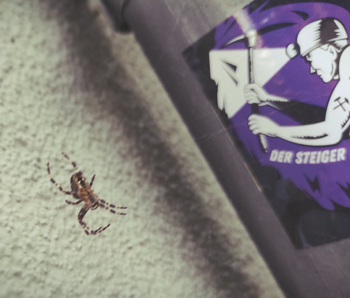 bloggingtest's tweet photo. #StickERZ kommen gefährlich wie Kreuzspinne. https://t.co/fZjfRrmImp