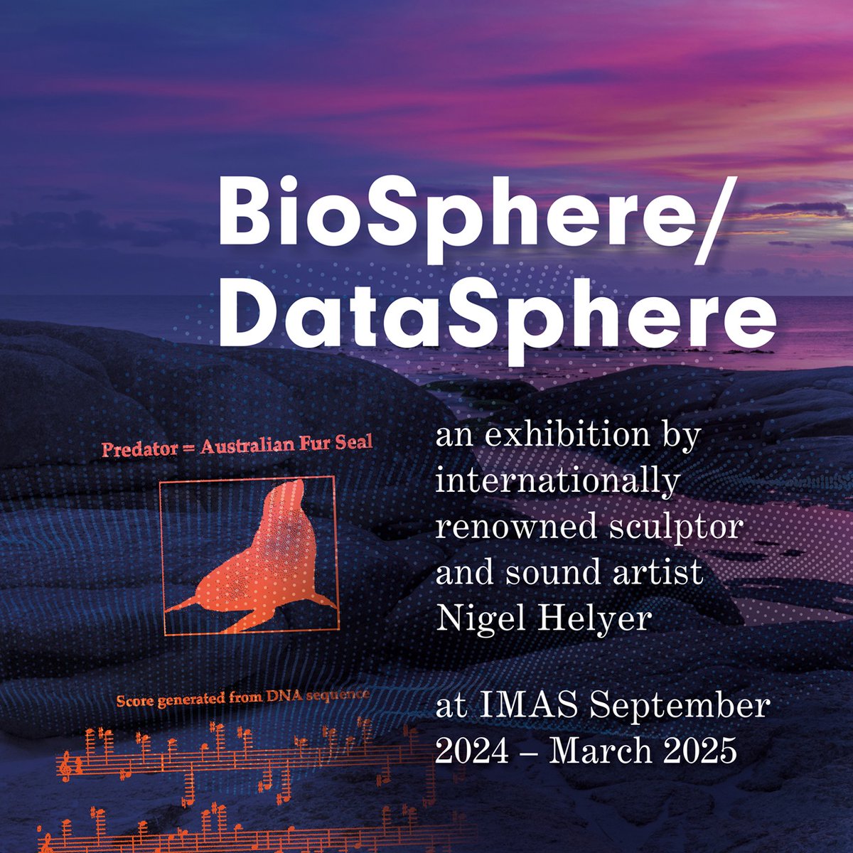 The sunset calls, the dawn chorus of seabirds, and the secret language of seals, whales and dolphins are part of an immersive experience at a new exhibition opening at IMAS in Hobart today🐋🦭
🐬Read more: tinyurl.com/New-Exhibition…
🐳Exhibition details: tinyurl.com/IMAS-Exhibitio…