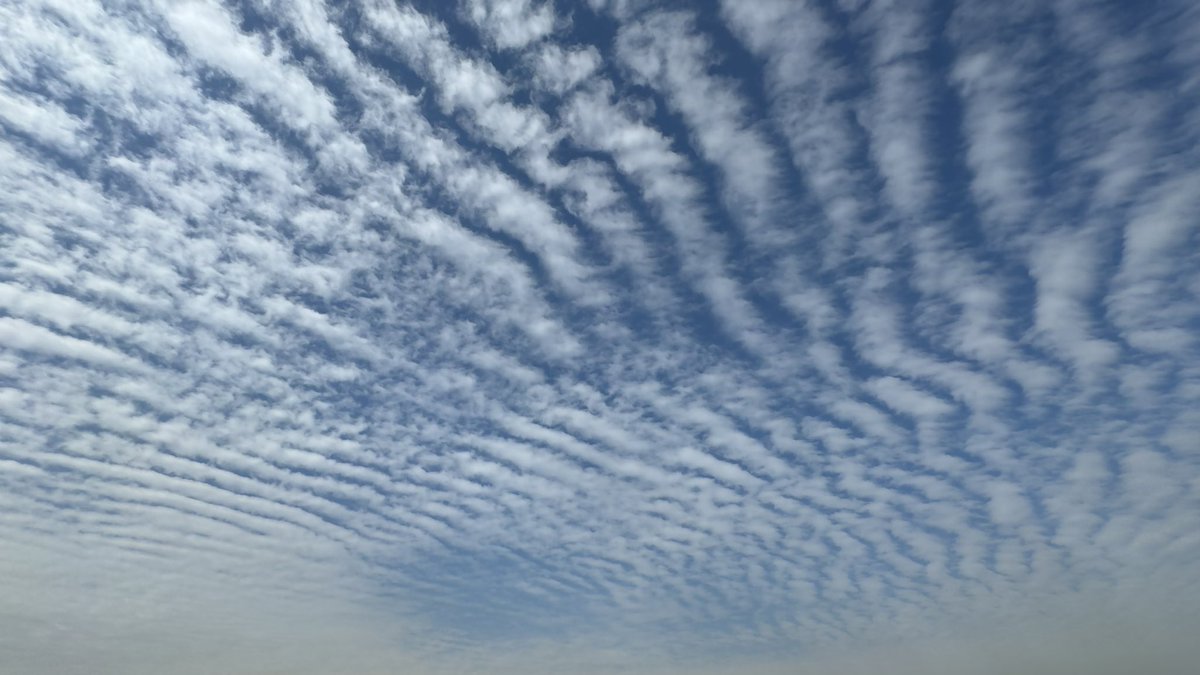 Misiá Eloísa 🌧️🌨️🌷🌱 tweet media