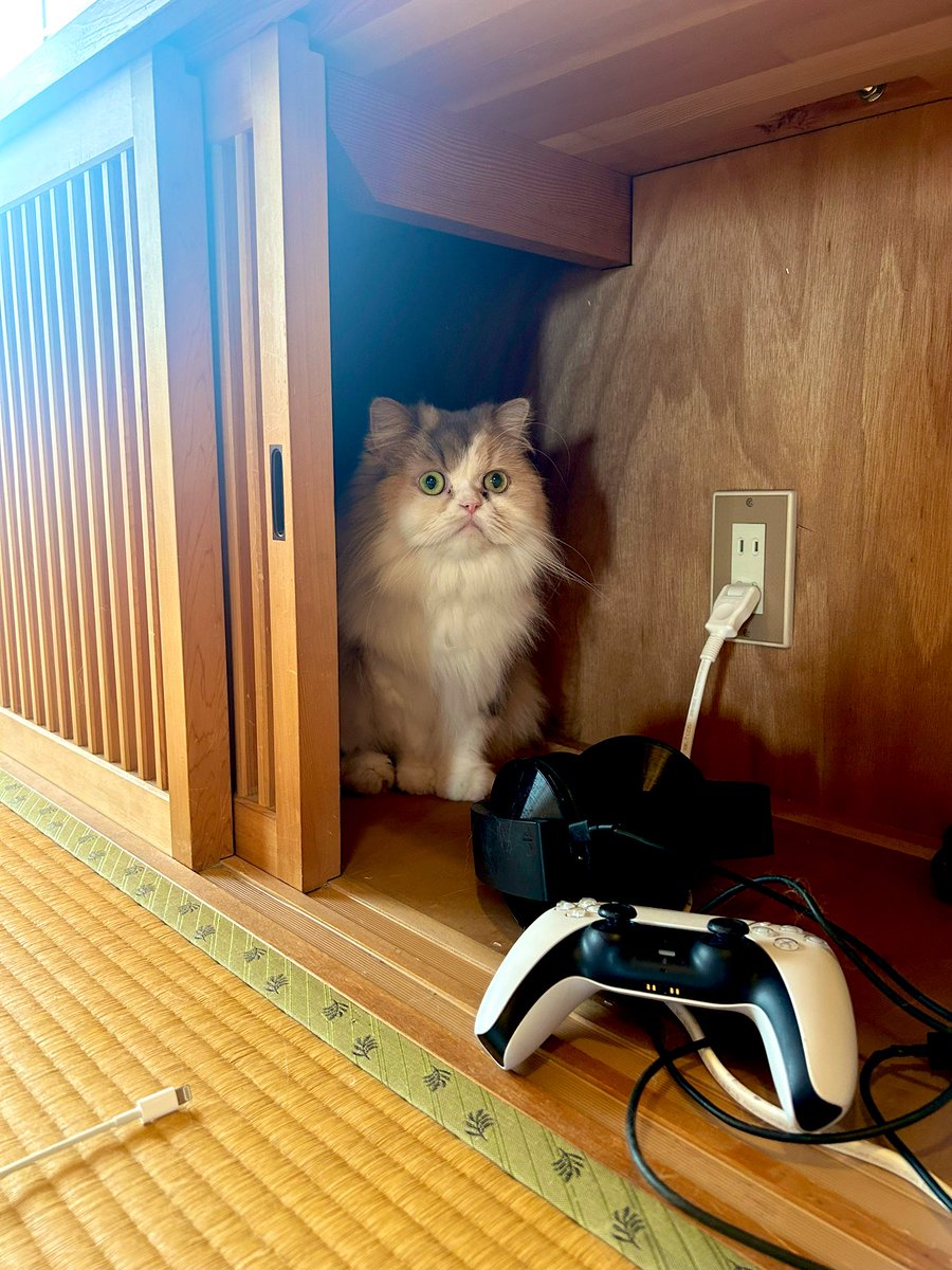 かくれんぼ　はまちゃん