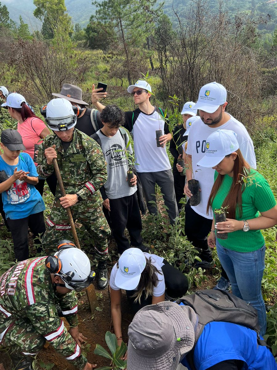 PazConsejo's tweet photo. En la Semana de la Juventud en @AlcaldiadeBello y en el marco del #MesPorlaPaz2024 nuestra consejera Hilda Castaño, estuvo en la Sembratón en el cerro Quitasol de #Bello acompañada de @PoloZuluaga @GobiernoAnt funcionarios(a) de la alcaldía, jóvenes y las @FuerzasMilCol https://t.co/GoaMoMwB5e