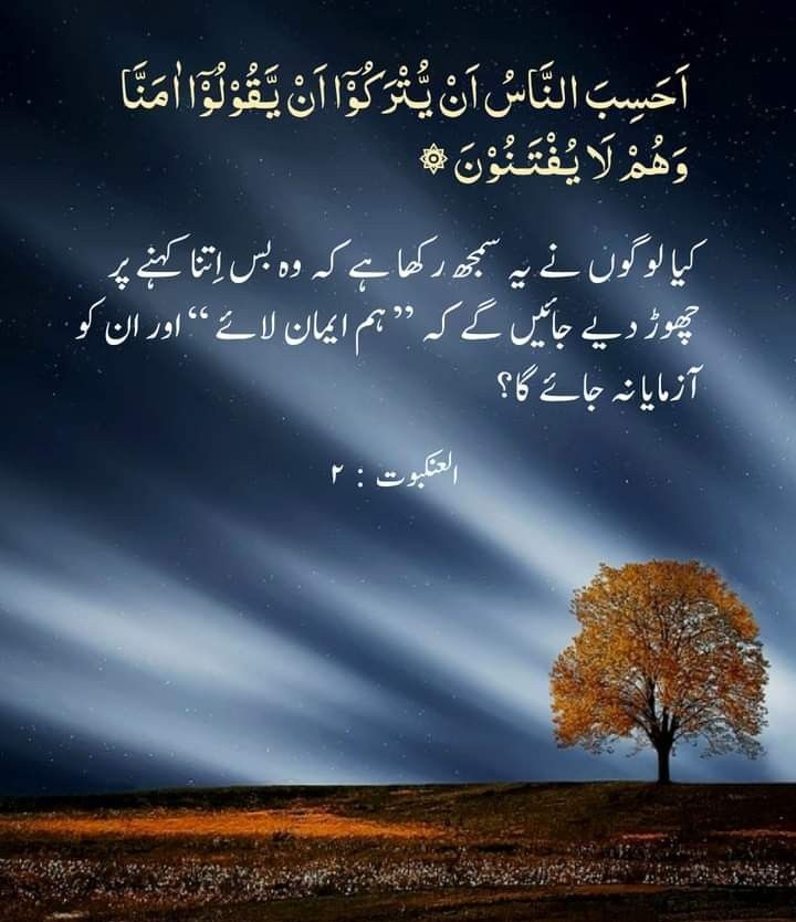 محمد فاروق خان tweet media