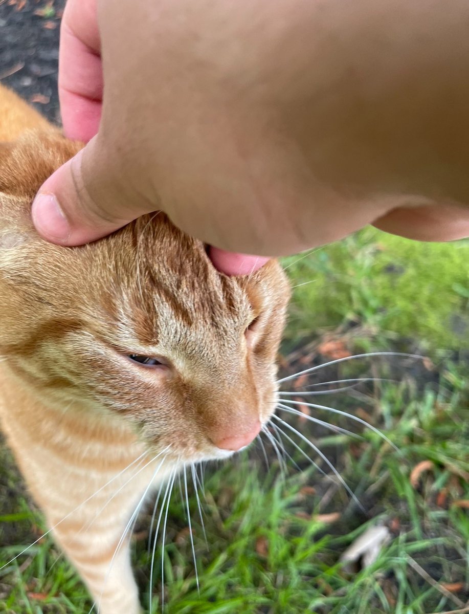 light_lazer's tweet photo. here are exclusive photos of this silly goof https://t.co/0VioxTisge