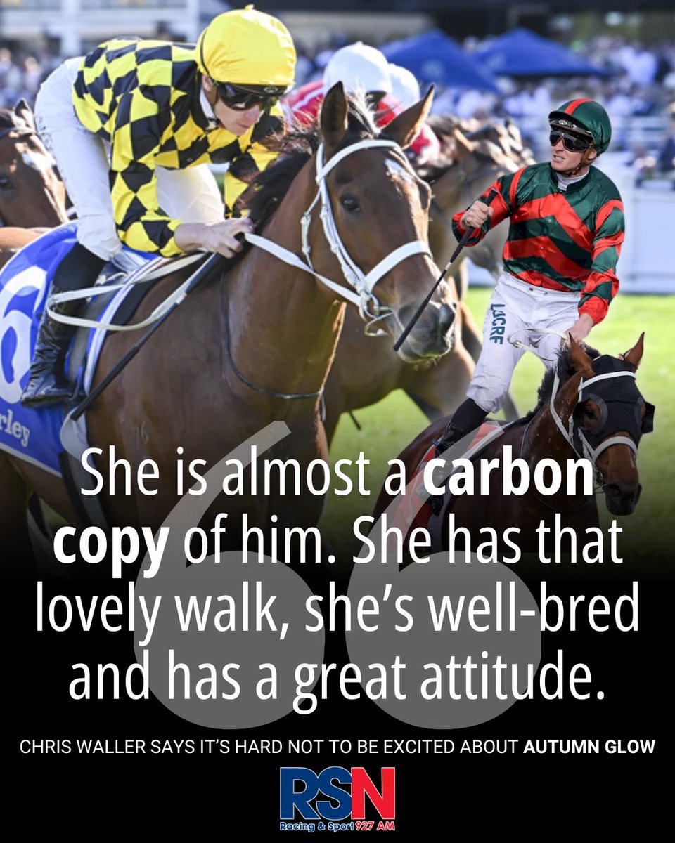 RSN Racing & Sport (@rsn927) on Twitter photo It was hard not to think of The Autumn Sun when Autumn Glow let rip with her big stride on Saturday!
The unbeaten filly could be ANYTHING! π
<a href="/cwallerracing/">Chris Waller Racing</a> | <a href="/mcacajamez/">James McDonald</a> It was hard not to think of The Autumn Sun when Autumn Glow let rip with her big stride on Saturday!
The unbeaten filly could be ANYTHING! π
<a href="/cwallerracing/">Chris Waller Racing</a> | <a href="/mcacajamez/">James McDonald</a>