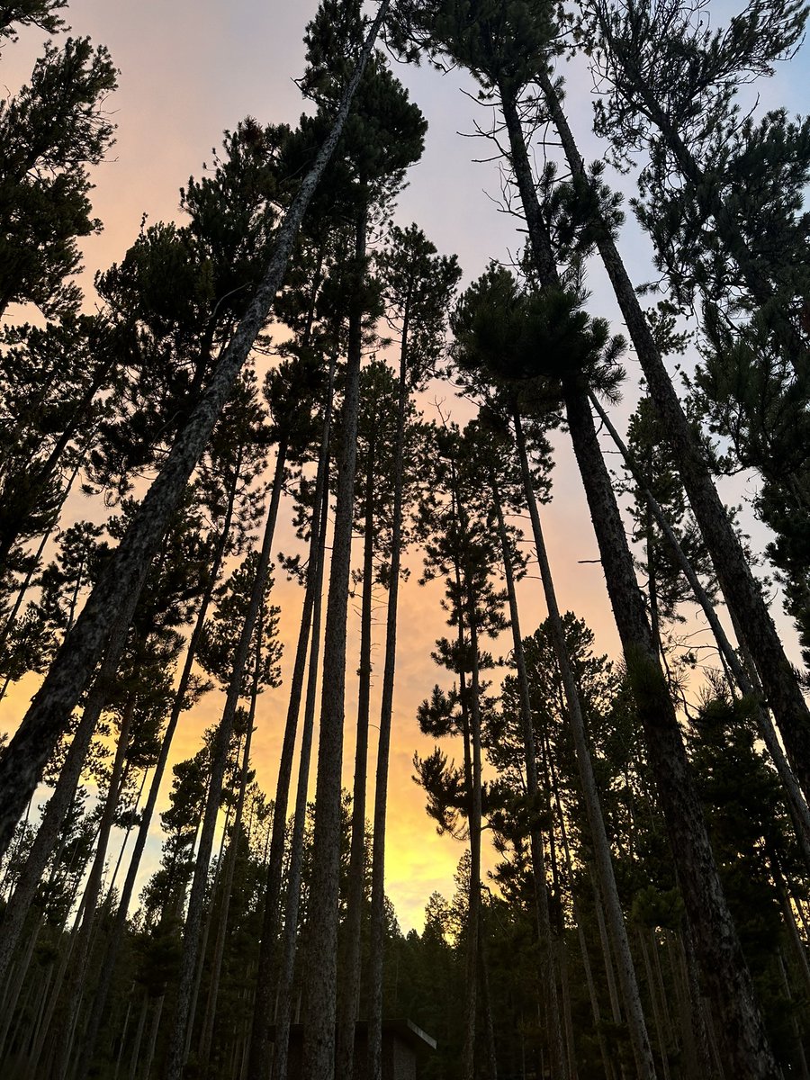 m҉****** (@feeldyeingnote) on Twitter photo 