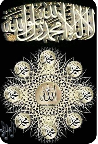 Saba Zaidi tweet media