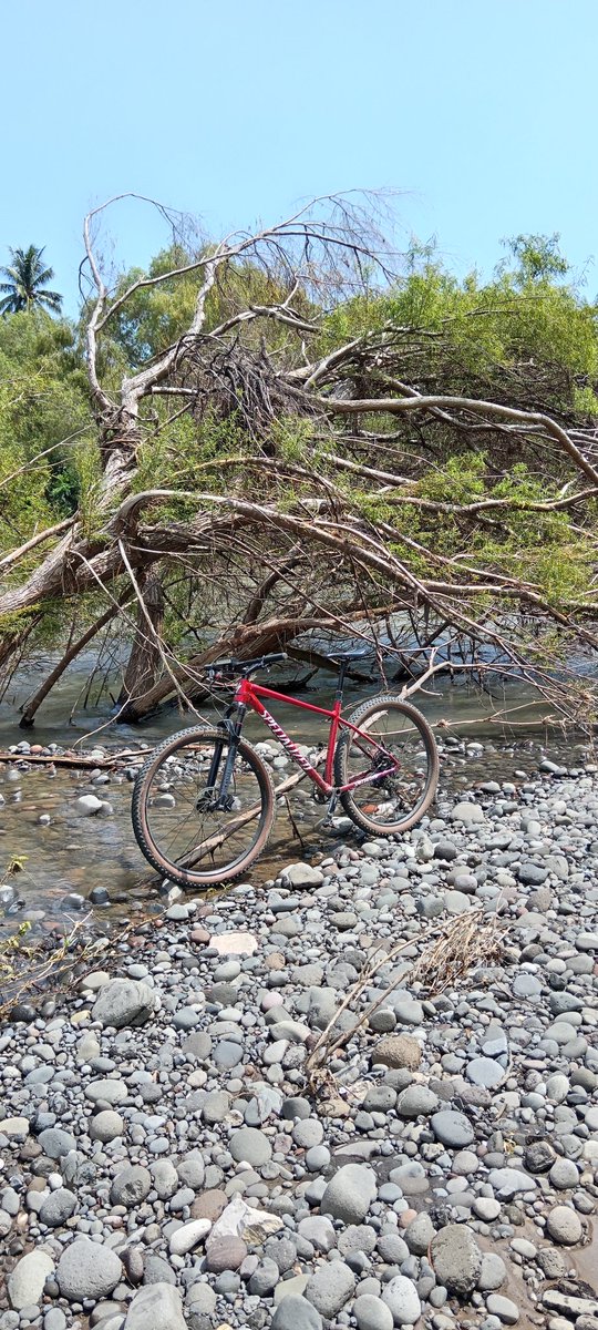 MauricioPazos_'s tweet image. #Chisel 🚀 #Specialized ☀️ Úrsulo Galván #Veracruz