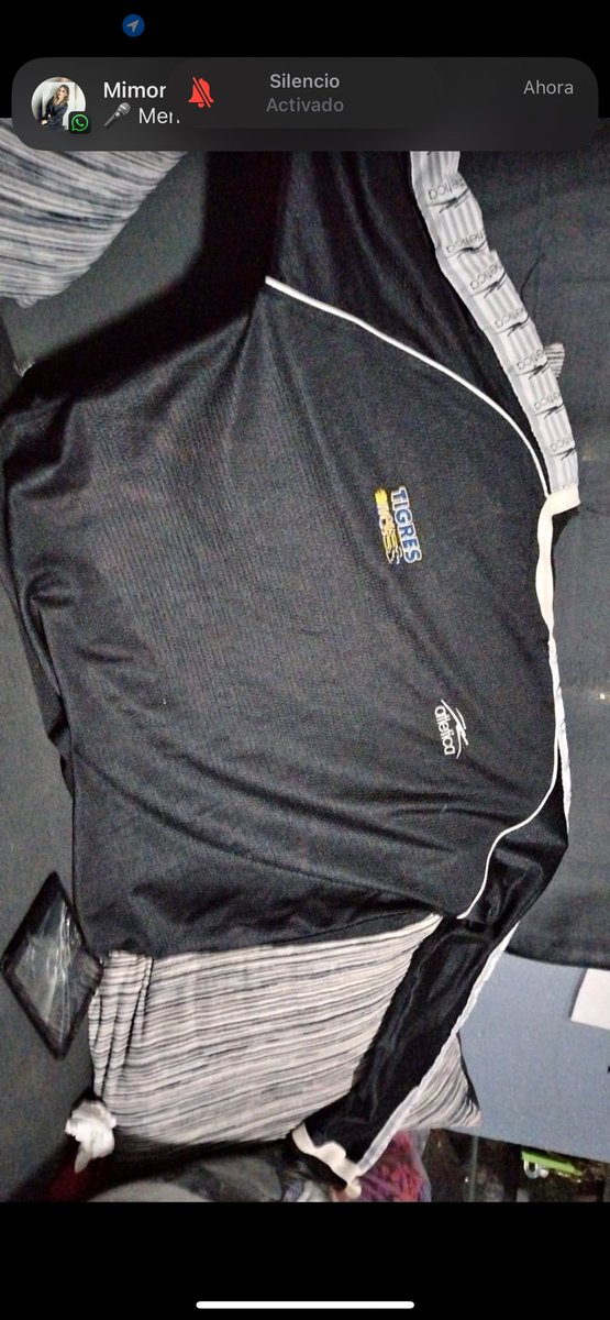 CarlosSaZe's tweet photo. @camisetastigres hola, me podrías ayudar a saber de qué año es este jersey https://t.co/9Ik6Euspij