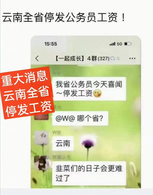 云南全省停发公务员工资