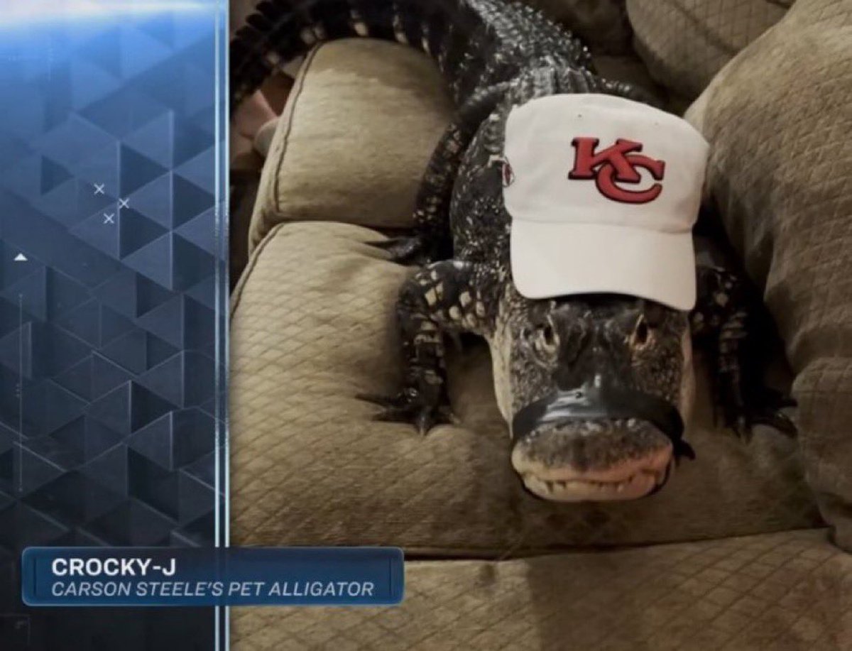 MLFootball's tweet photo. #Chiefs rookie RB Carson Steele’s pet alligator CROCKY-J IS LOCKED IN WITH HIS KC GEAR FOR TONIGHTS GAME.

🐐

A REAL FOOTBALL GUY. https://t.co/if4wxFoHXK