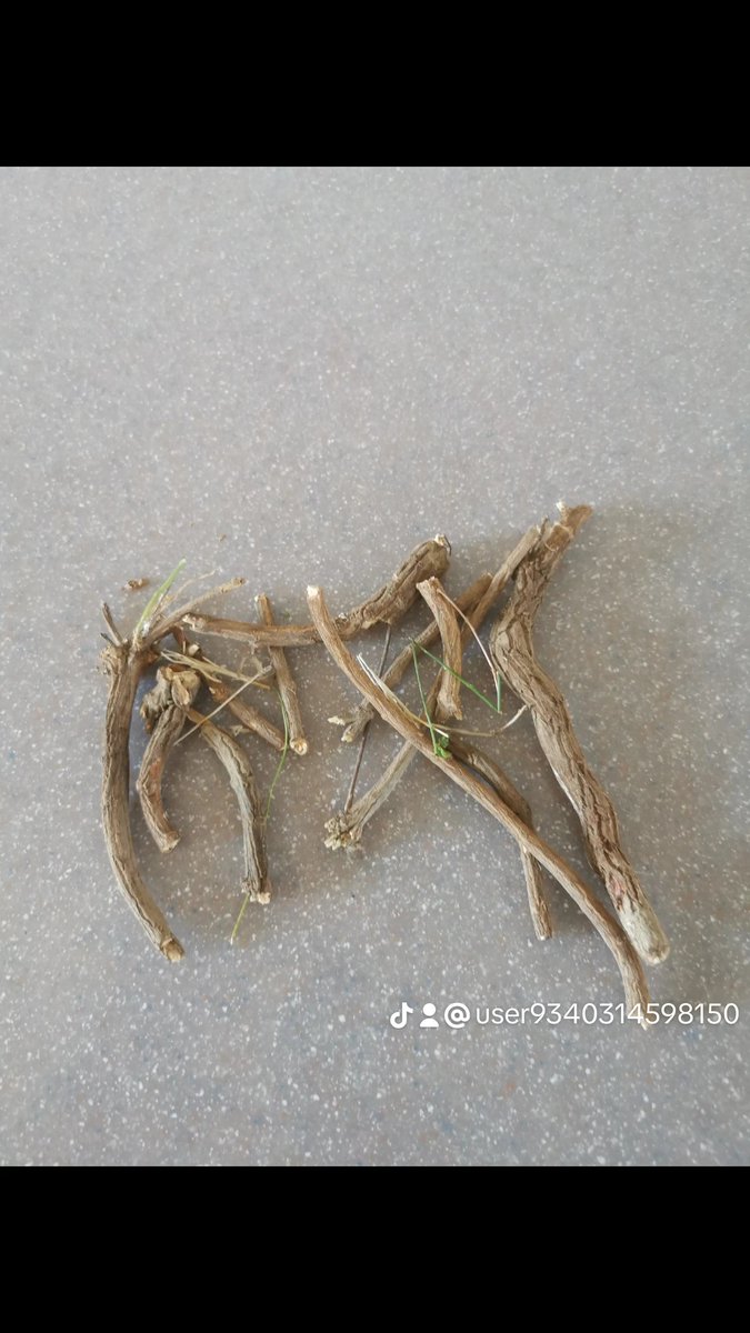 العرق الأسود حاضر للعلاج العيون  تفضلو