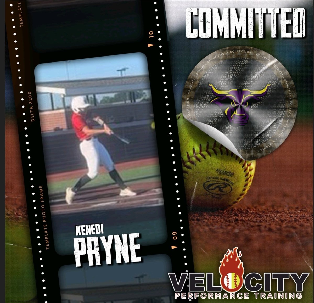 Velocity Performance Training tweet media