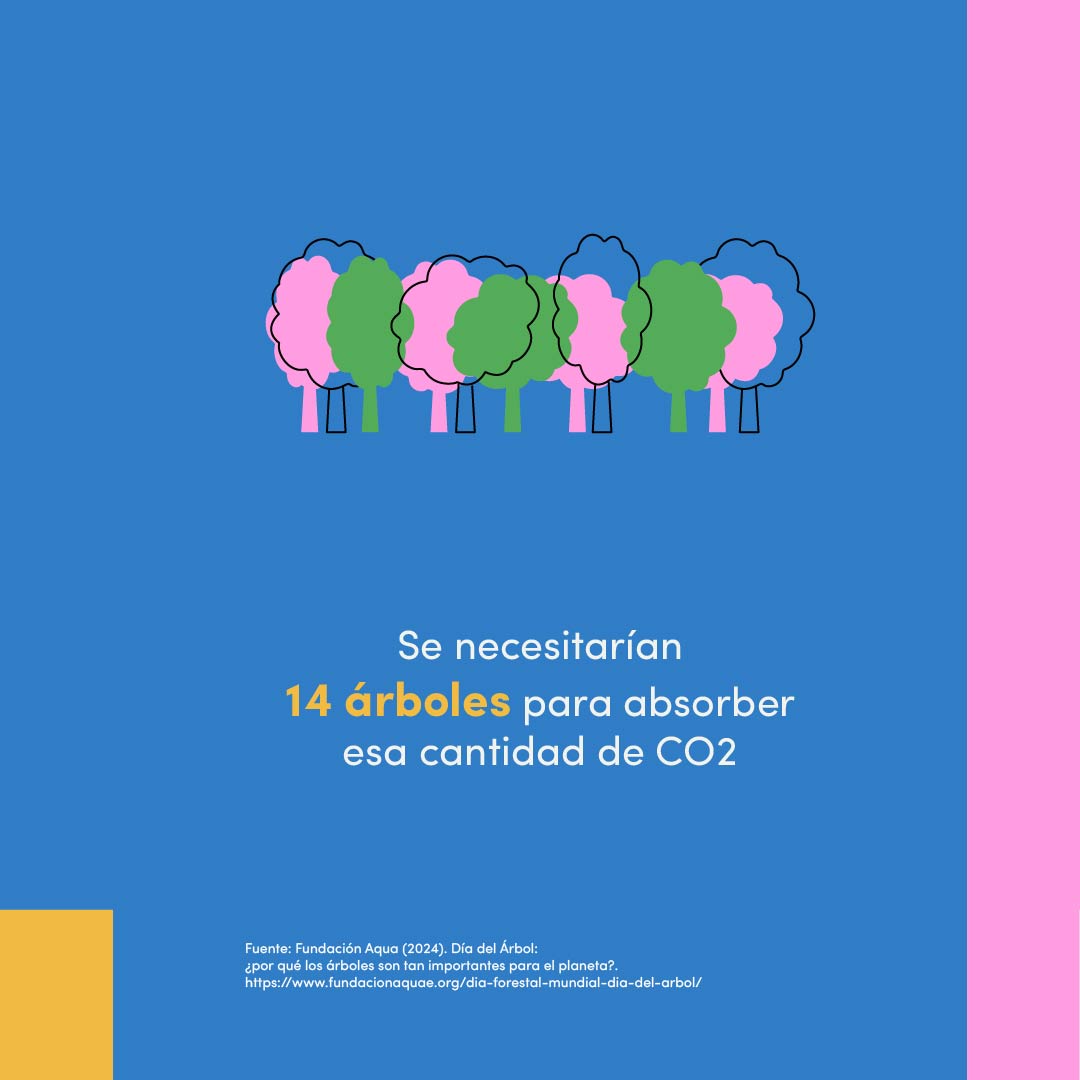 ITDP México tweet media