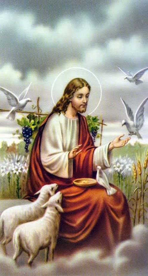 Jschildren's tweet photo. #Pleae RT the Christian Vegan Ministry posting, as a service to the just God: https://t.co/2sFY0uCaFa