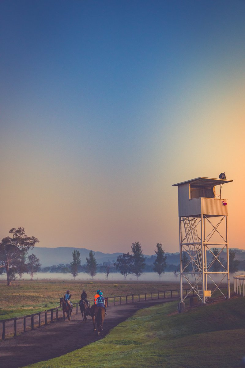 sconeraceclub's tweet image. Dreamy Mondays 🌤️
#trackwork #sconeraceclub
