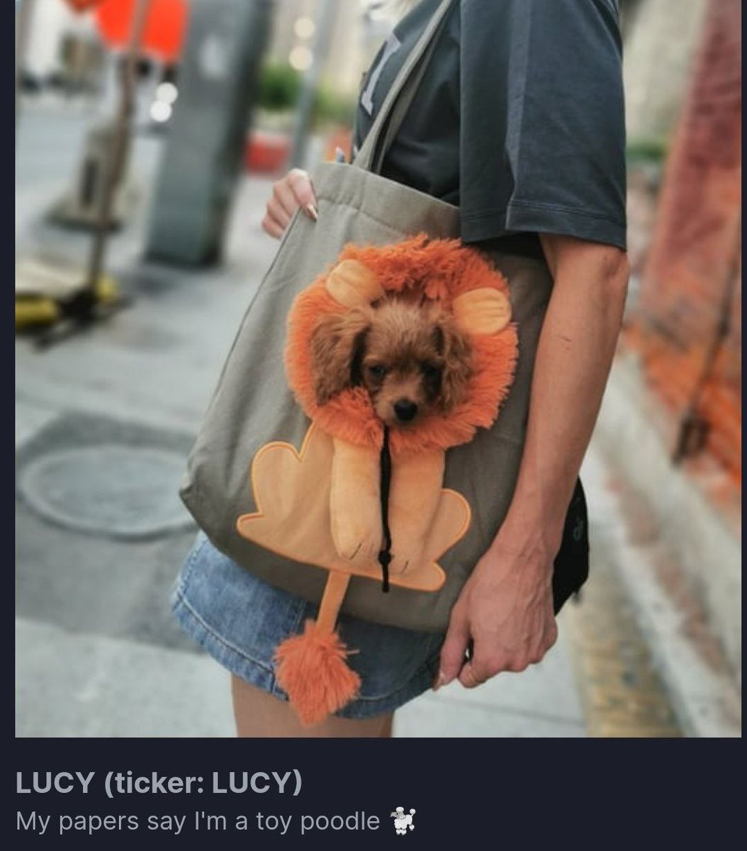 GemsQueens's tweet photo. @mrpunkdoteth $Lucy post raydium dip 

E A S Y 
M O D E 

pack that puppy in a bag 

$LUCY ON SOLANA

My papers say I'm a toy poodle 🐩

Contract Address:
EC7dLWZ6EYPFS6WhSBLcDPQ3ytrWagiLPNSrnrxDpump https://t.co/UsHItsEArZ