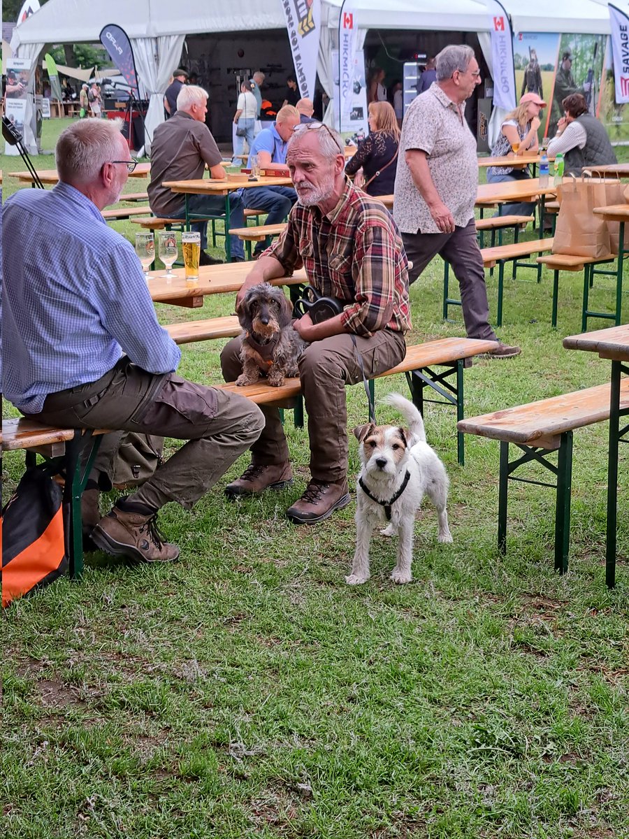 marjanna v.d. meulen tweet media