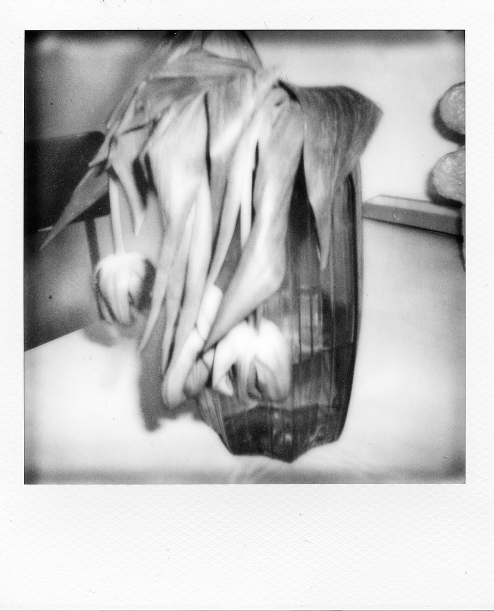 I decided to try to make an auction in instagram comments. And next hours I sell original physical Polaroid. 😌
If someone interested can join by link

instagram.com/p/DAOMCcpCZ1s/…