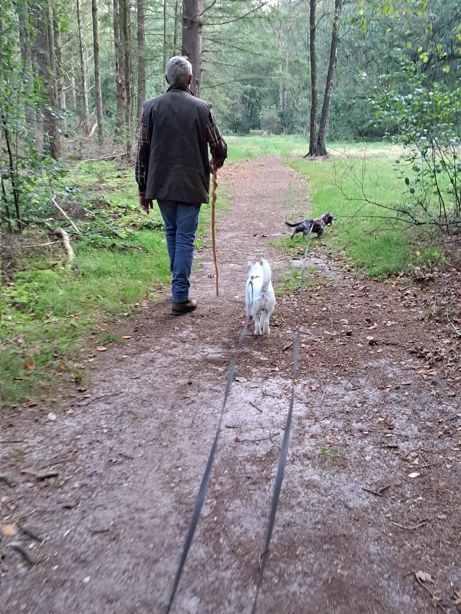 marjanna v.d. meulen tweet media