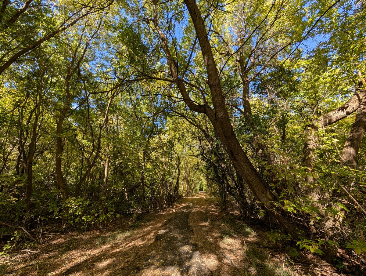 Carly K. Messerly tweet media