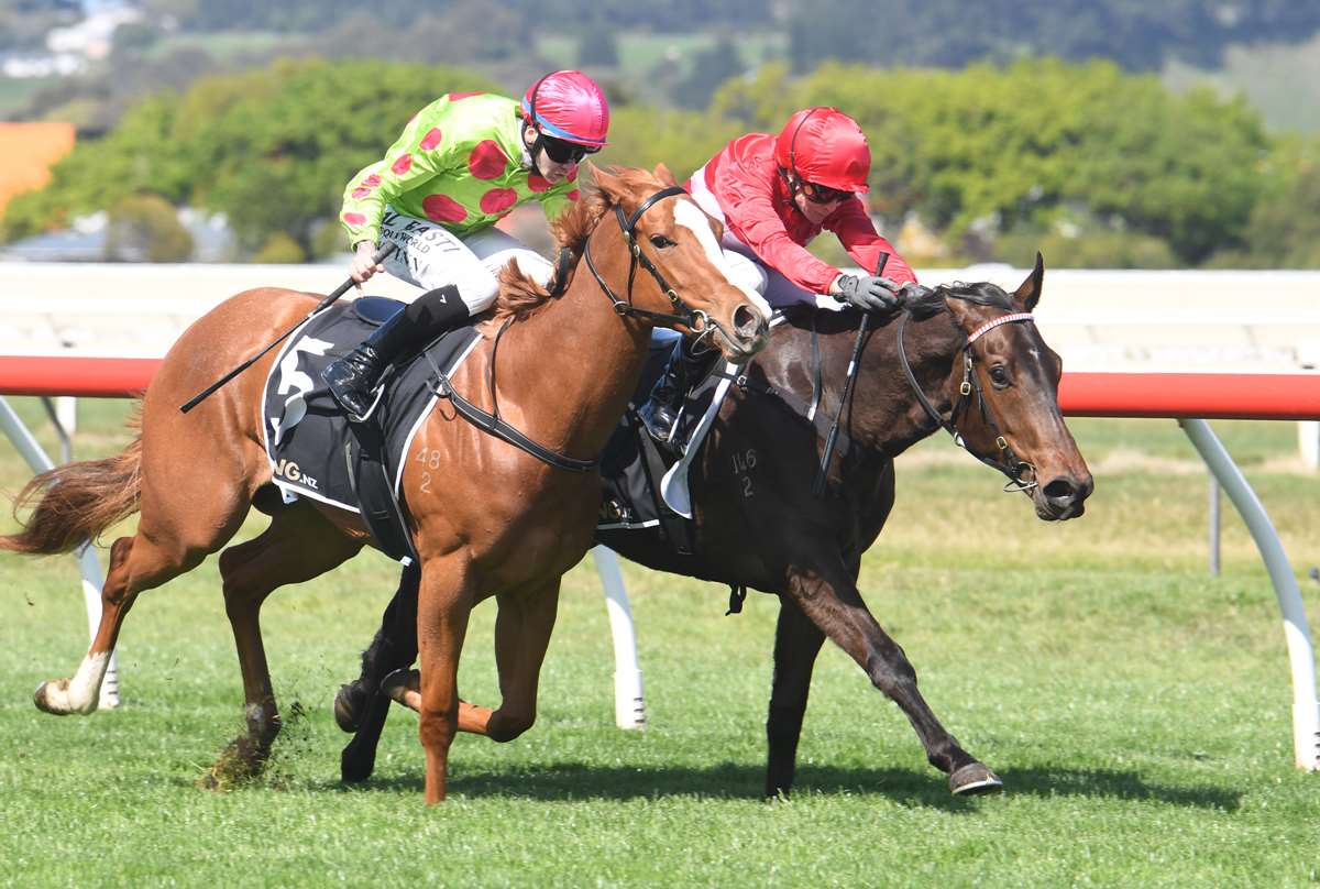 KarakaChat's tweet photo. A winning debut at Wanganui on Saturday has propelled #Landlock (Merchant Navy) to the top of the order of entry for the $1m TAB Karaka Millions 2YO (1200m).🏇💨

Saturday’s $40,000 Pilet Contracting Ltd/Pioneer Seeds 2YO (800m) was the second two-year-old race of the season in New Zealand and was always likely to have a major Karaka Millions impact.

Landlock was offered by @woburnfarm in Book 2 of Karaka 2024, where he was bought by CW Cole Racing for $20,000.🤝

Read more 📰:https://t.co/4rkNvbs9AA

#WhereWinningBegins ✨