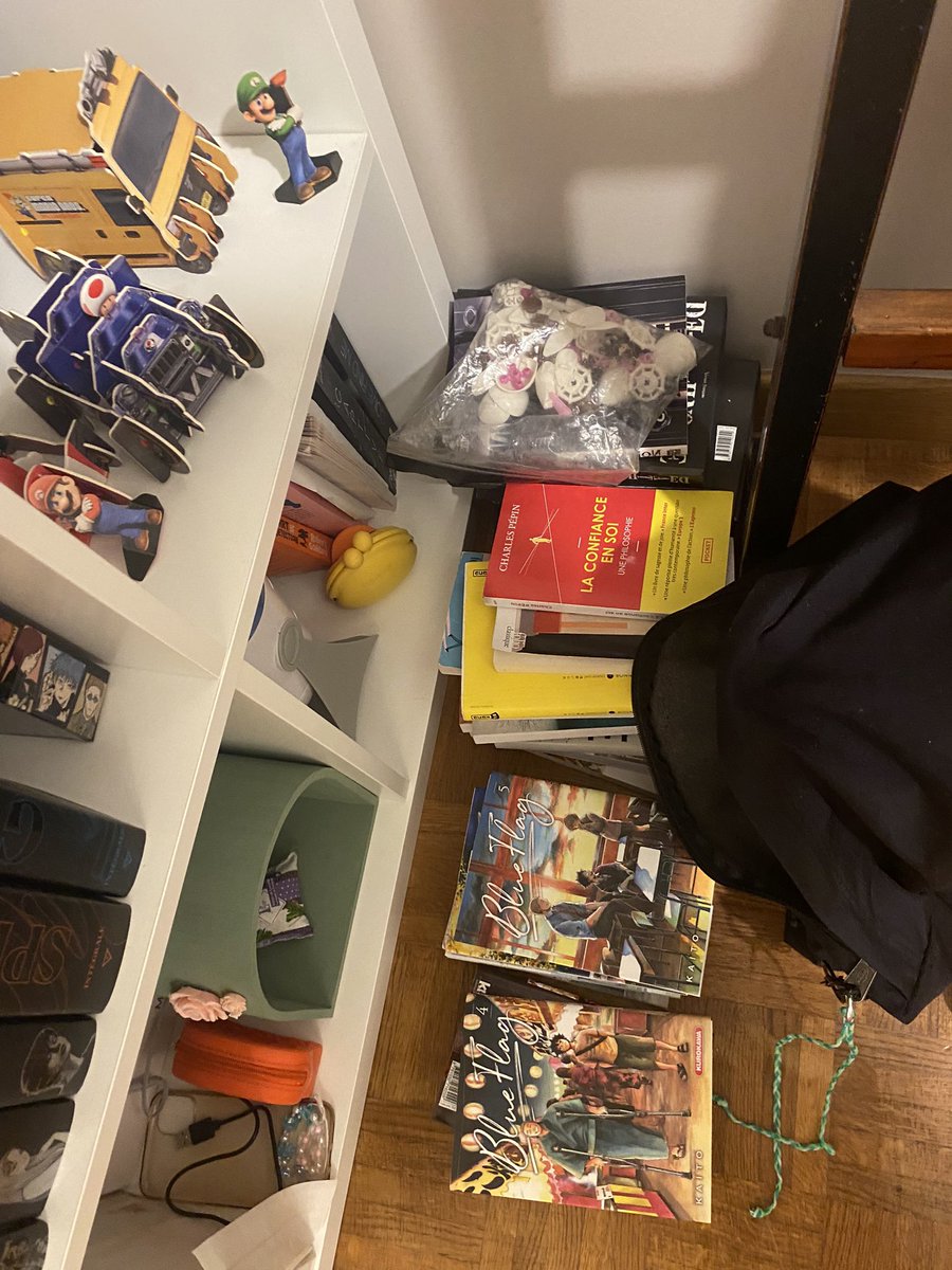 umioyume's tweet photo. le bordel c déborder j’en peux plus j’ai plus de place pour mes nouveaux mangas et livres aleeeeeed

(le vinyle de lomepal j’essaye de le cacher #imashamed m’en voulez pas j’étais fan de lui) https://t.co/EcAnYKHrlh