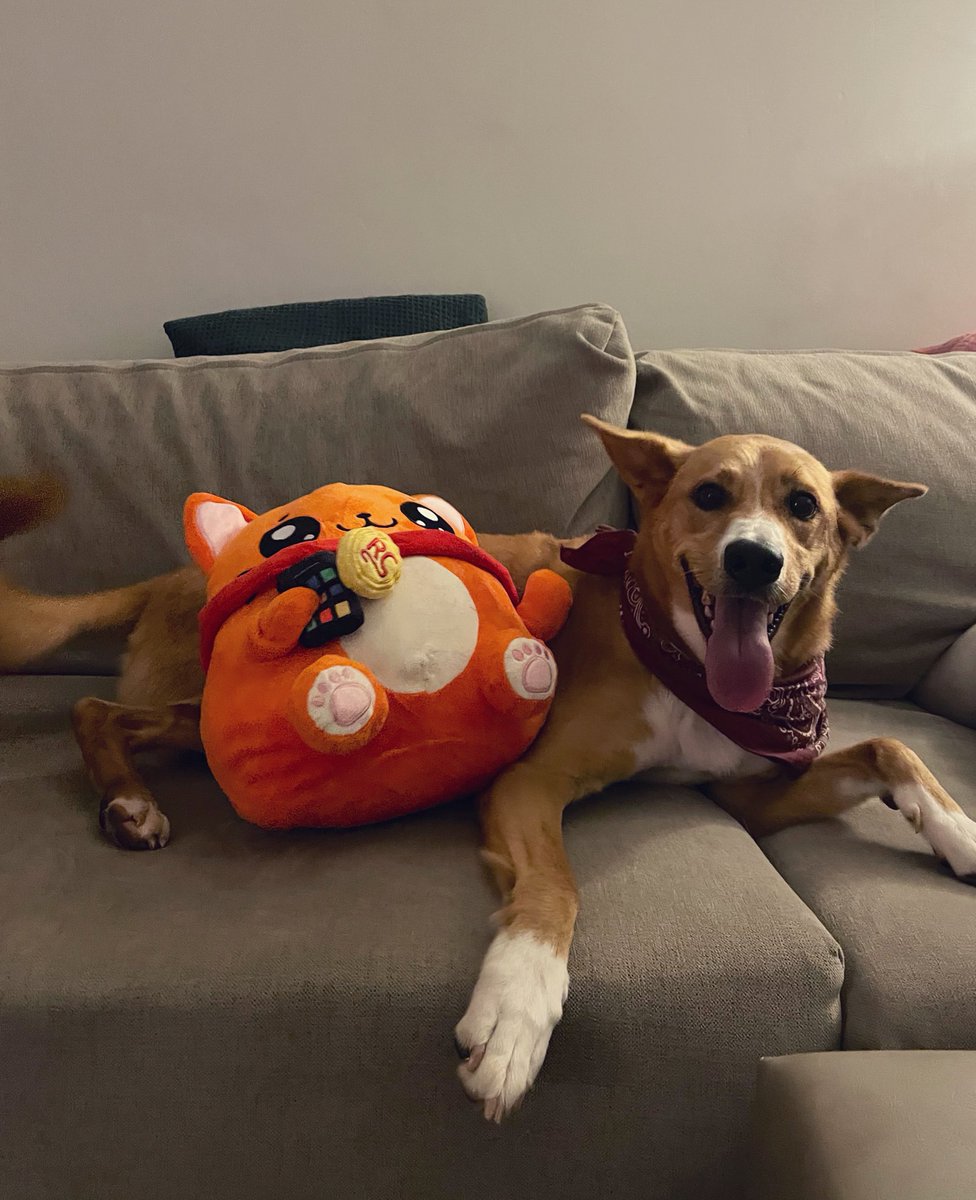 🌈 Berta Devant 👩‍💻🤖 tweet media