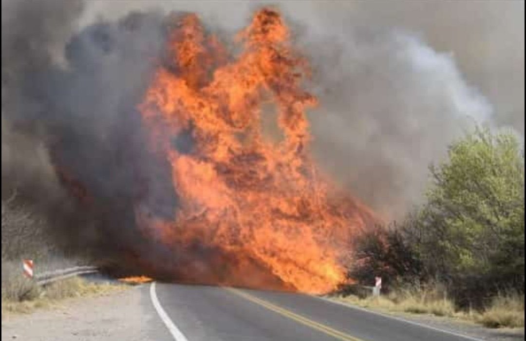 maRIOrioRDA's tweet photo. Dolor de los grandes en Córdoba. Una verdadera catástrofe ambiental. Y la ausencia de coordinación para dar respuesta a este ecocidio que se repite año a año. https://t.co/9yST6OgCo3