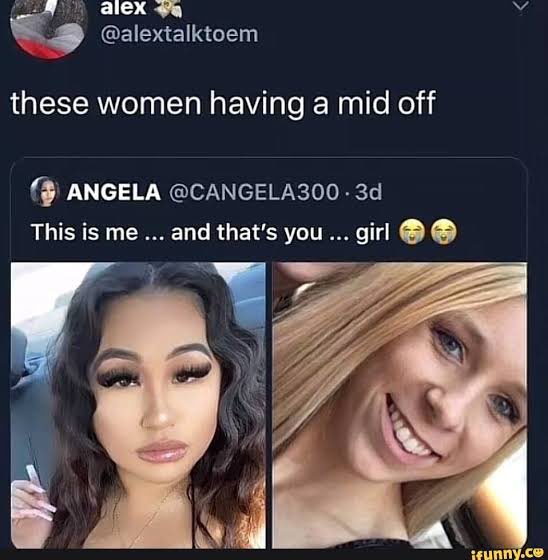 ᐯIᗷEᗪ tweet media