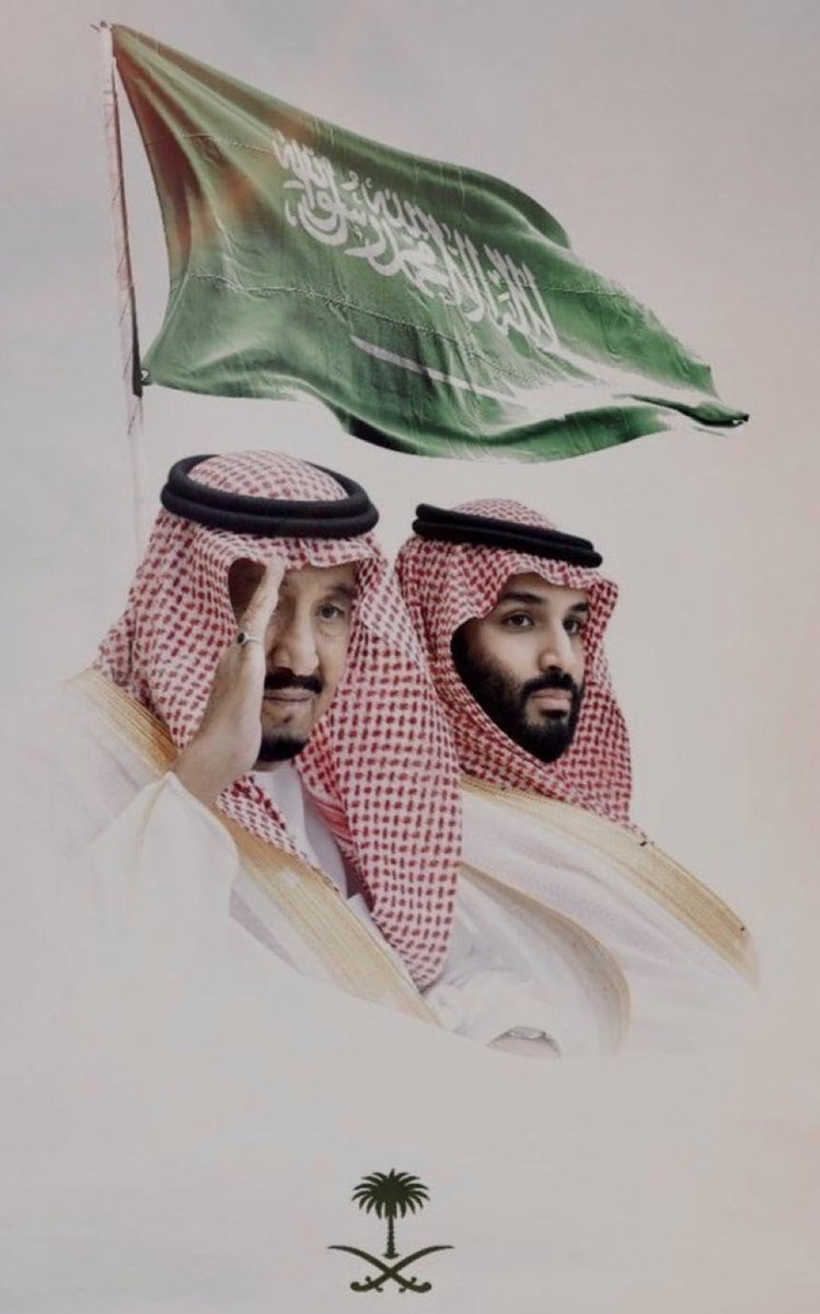bt_xyo's tweet photo. 🌴💚🇸🇦🍃🇸🇦💚🌴 https://t.co/QMPlF15IYp