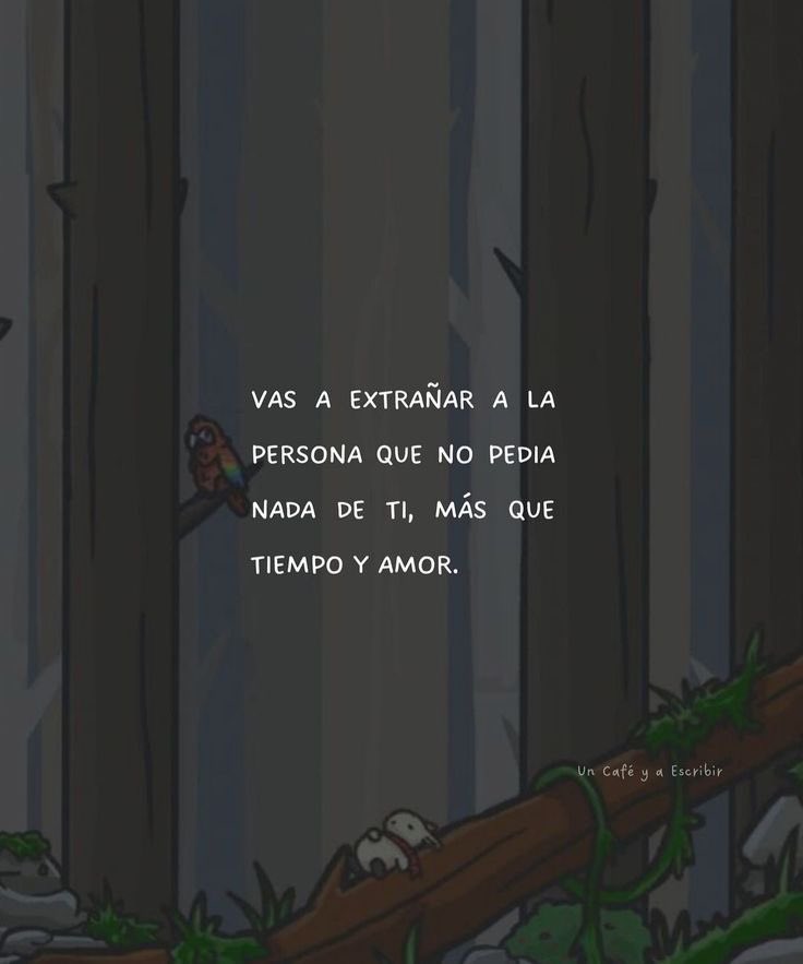 🌙 mini textos (@soyminitextos) on Twitter photo 