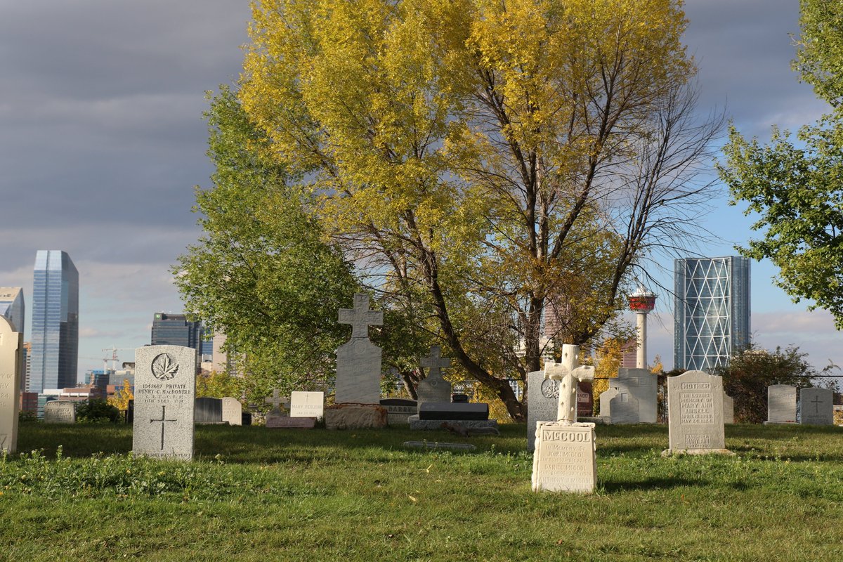 VincentM_Manus's tweet photo. Downtown Calgary from St Mary's Cemetery. 2015 https://t.co/Bz34VDDNM3