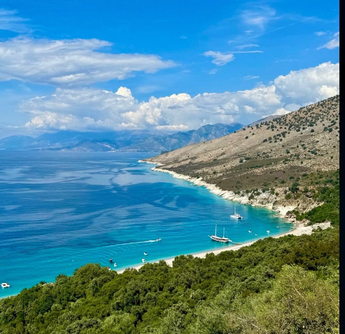 Krorez Bay tweet media