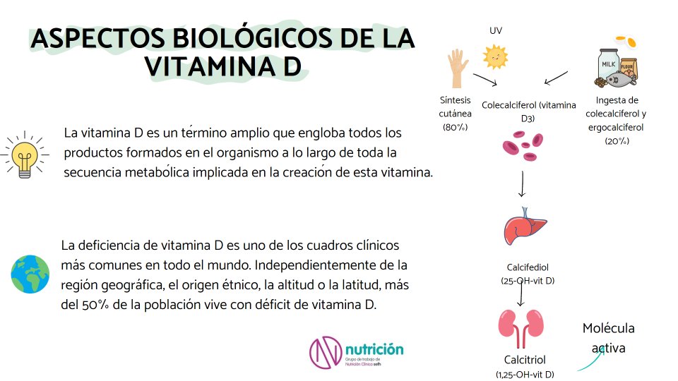 GrupoNutri's tweet photo. Conozcamos un poco mas de la Vitamina D
Realización propia @GrupoNutri https://t.co/7twE0m8uI0