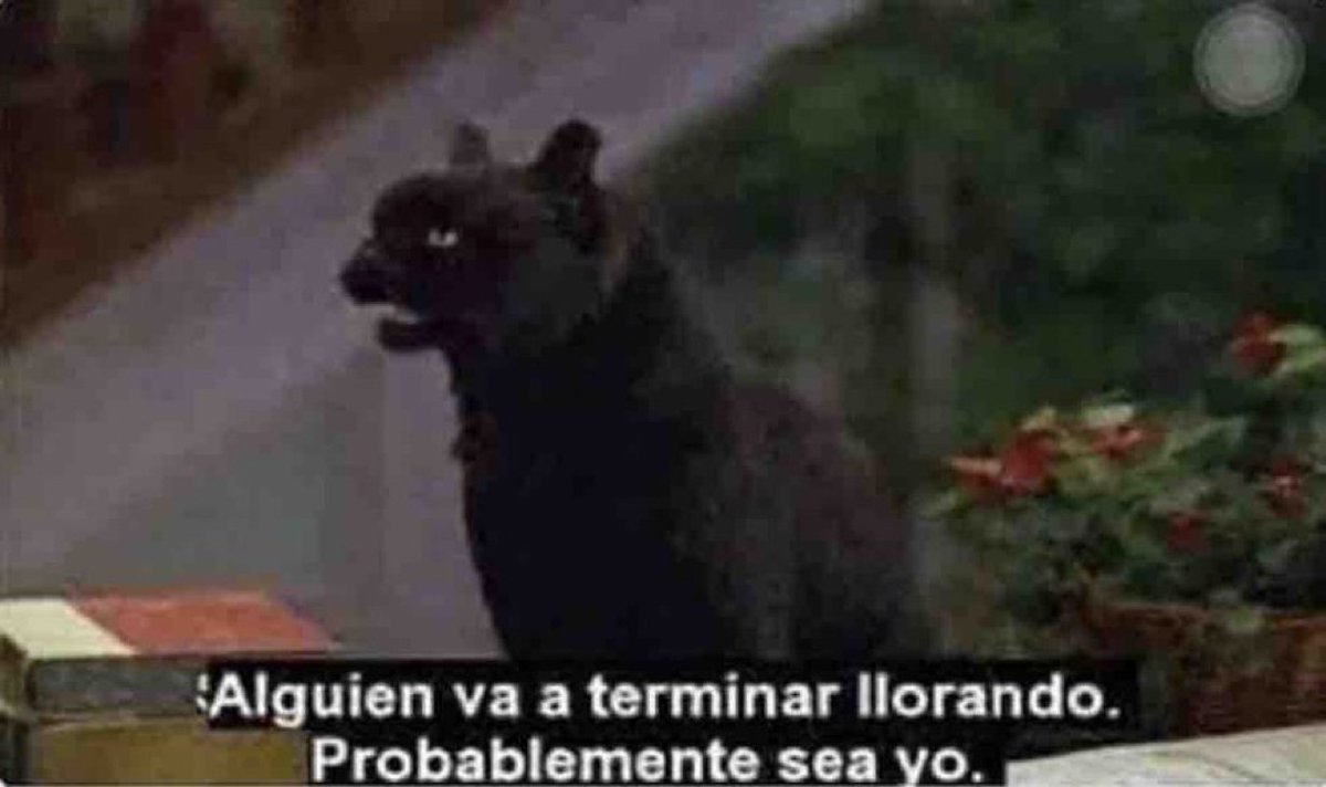 Guarromantico_'s tweet photo. Cuando me empiezo a encariñar con alguien. https://t.co/eCoBuJUGGI