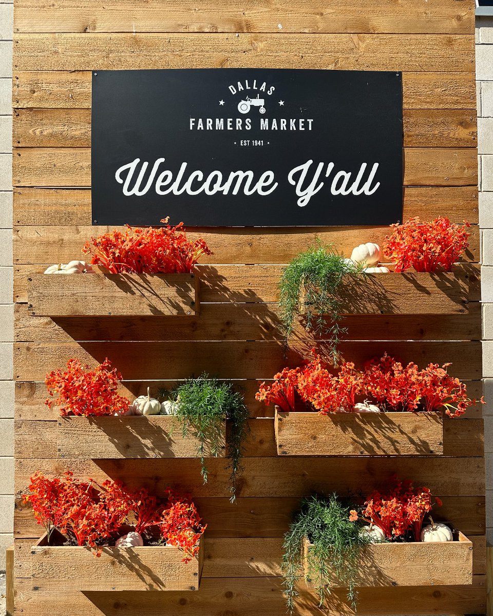 🎃🍁 It's officially Fall 🍂🧡 ! 

Gourd times ahead at the <a href="/DallasFarmer/">Dallas Farmers Market</a> with over 25 pumpkin varieties in the Shed and the locally-grown Texas Pumpkin Patch at Ruibal's Plants: bit.ly/3XHHEa6