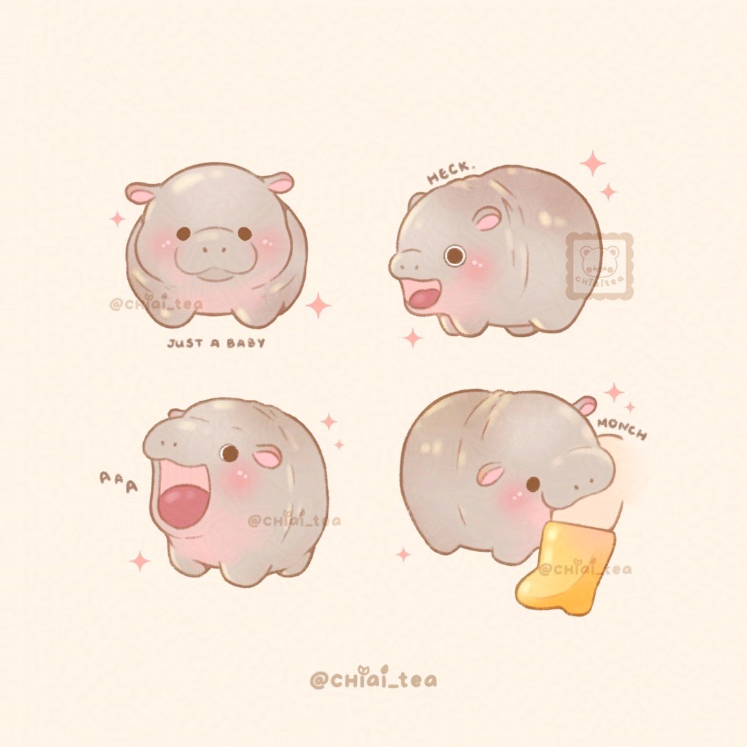 Chiai_tea's tweet image. Moo Deng 🥺