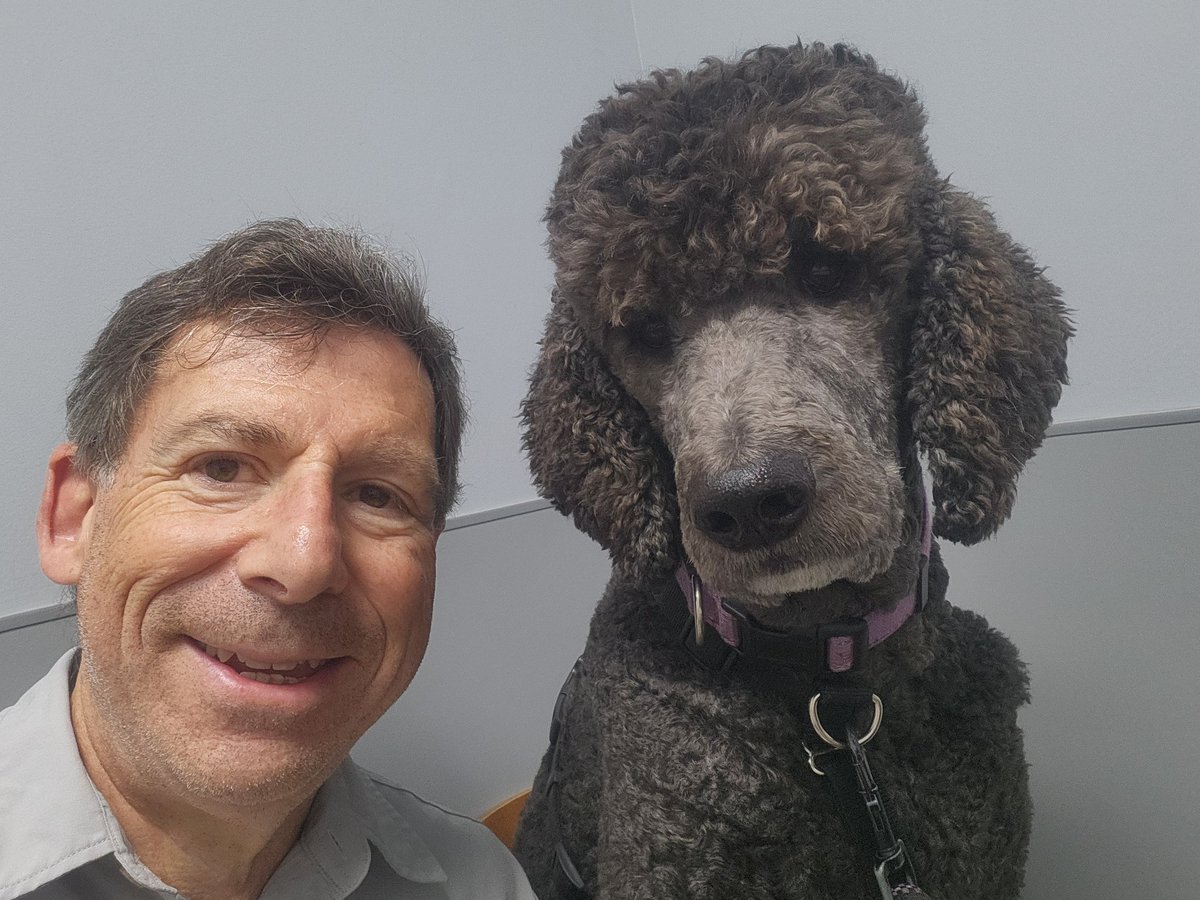 EVfanMitch tweet media