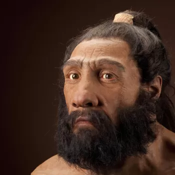 EastwardTales's tweet photo. NUMBER3⃣ ‼️
Neanderthal and Modern Human Links

Research🔎at Atapuerca have provided clues about the relation between Neanderthals🐵and modern humans👨, showing us how different human species interacted and evolved.

#Atapuerca #Prehistory #HumanEvolution #profesorhistoriaMIT https://t.co/jx0PYuS6Mt