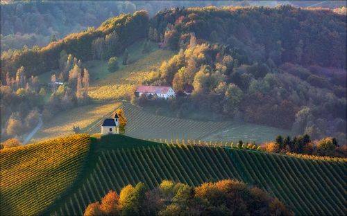 35PHOTO_main's tweet photo. Осенний калейдоскоп https://t.co/2B3wMbeLno https://t.co/E8WlwPjtS6