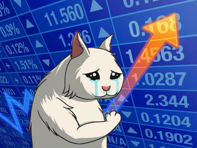 pourdecision2's tweet photo. @LanternMan77 @StonksTokenERC @savecryingcats We Stand with $Crying 🫡 

$Stonks #cryingcat #Stonks https://t.co/nxe6yFxyEe