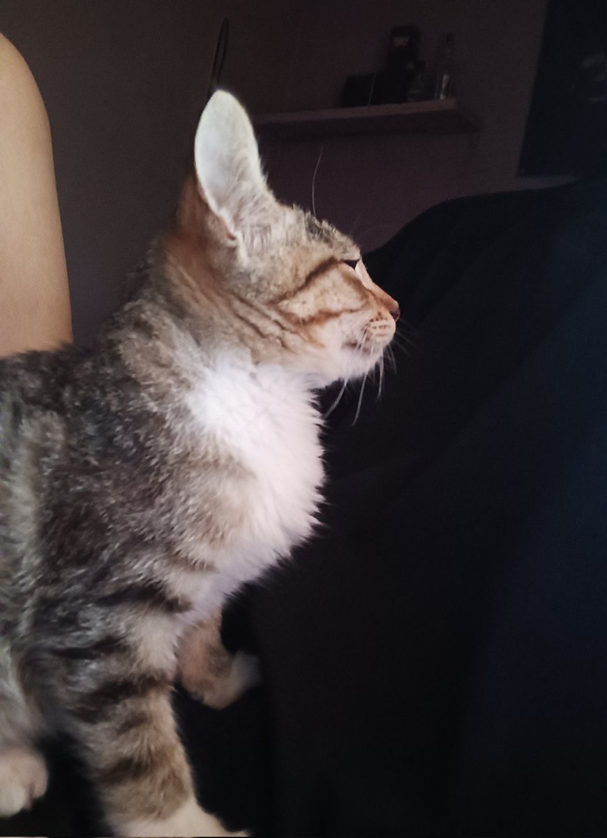 laudyzaddy's tweet photo. sleepy weekday https://t.co/eN0rhbobo8