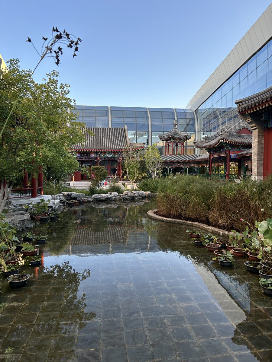markonerock's tweet image. This is the garden next to my departure gate at Beijing International airport, waiting for my connection to Seoul. Fair to say I’ve never seen a garden this peaceful in an airport before!