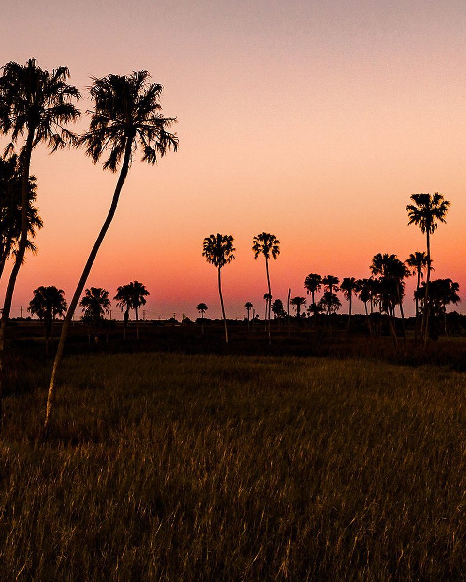 Townsville North Queensland (@townsvilleaus) on Twitter photo When the journey is just as beautiful as the destination 🍃 
📸@seanscottphotography exploring the Burdekin.
#townsvillenorthqueensland #upforunexpected #thisisqueensland #seeaustralia #burdekin #visitburdekin #holidayherethisyear #itsabeautifulplacetoholidayhere When the journey is just as beautiful as the destination 🍃 
📸@seanscottphotography exploring the Burdekin.
#townsvillenorthqueensland #upforunexpected #thisisqueensland #seeaustralia #burdekin #visitburdekin #holidayherethisyear #itsabeautifulplacetoholidayhere
