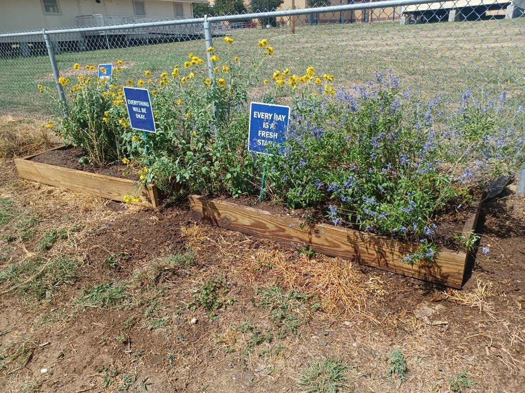 Kat J., M.Ed, Texas Master Naturalist tweet media