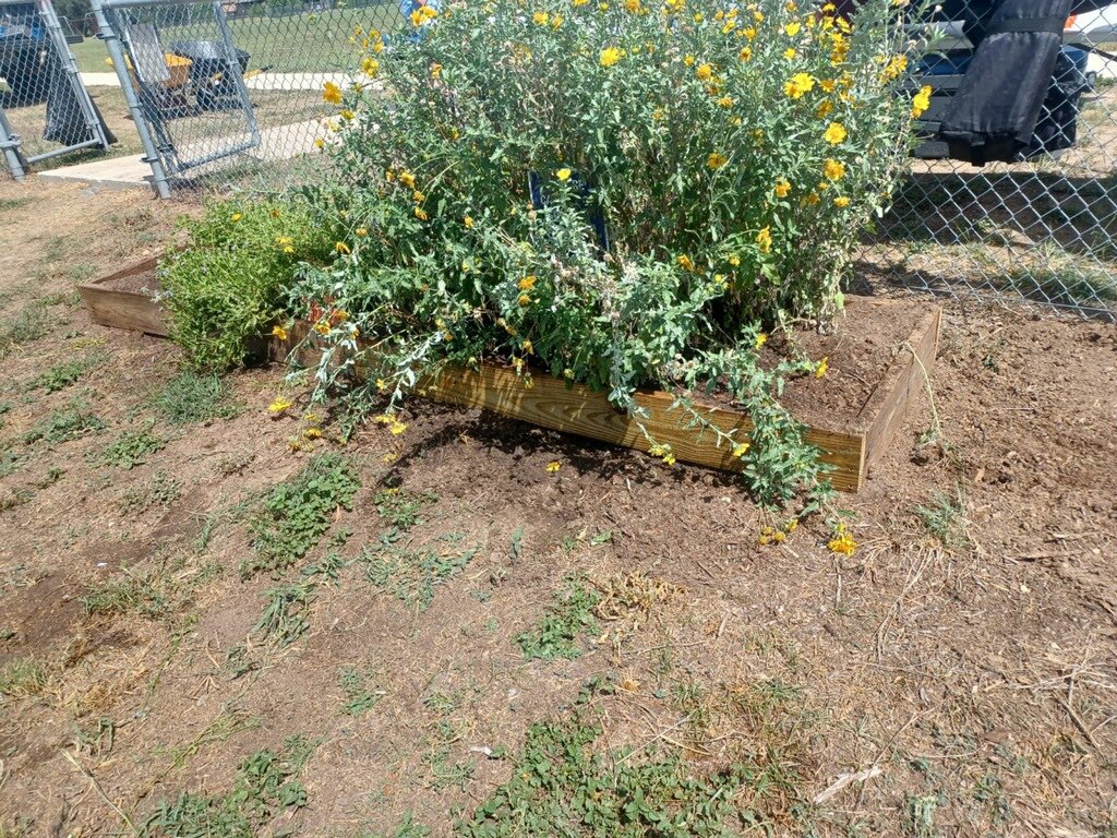 Kat J., M.Ed, Texas Master Naturalist tweet media