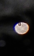 OrbsSM's tweet photo. Morning Orbs. 09-22-2024. #ufotwitter #alien https://t.co/hcrg46JOBL