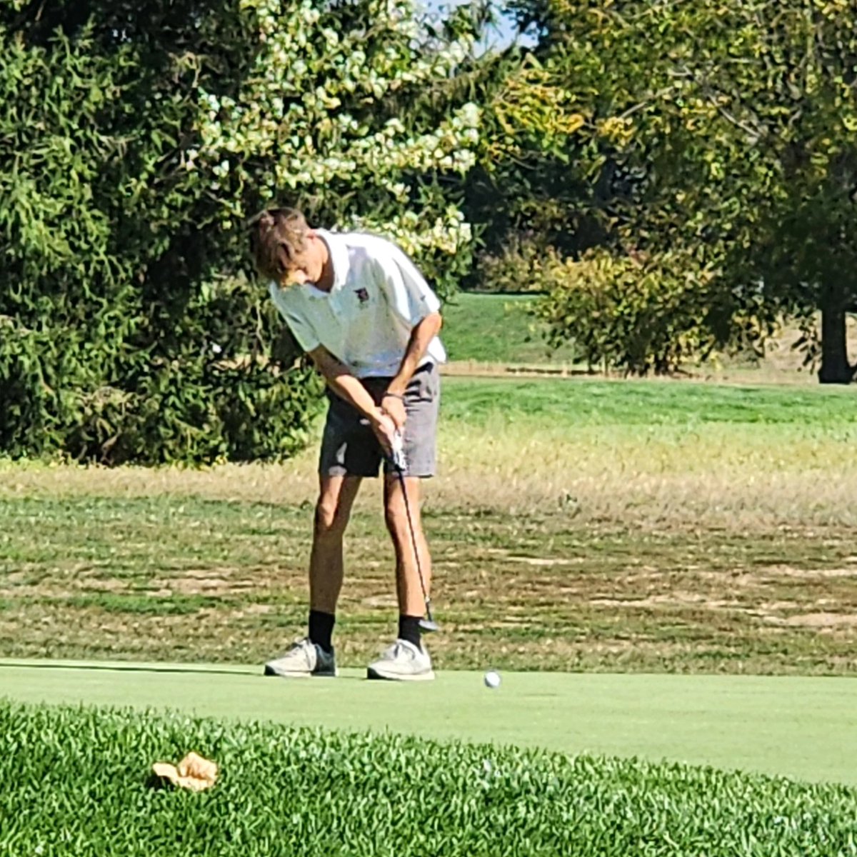 Dover Golf Team tweet media