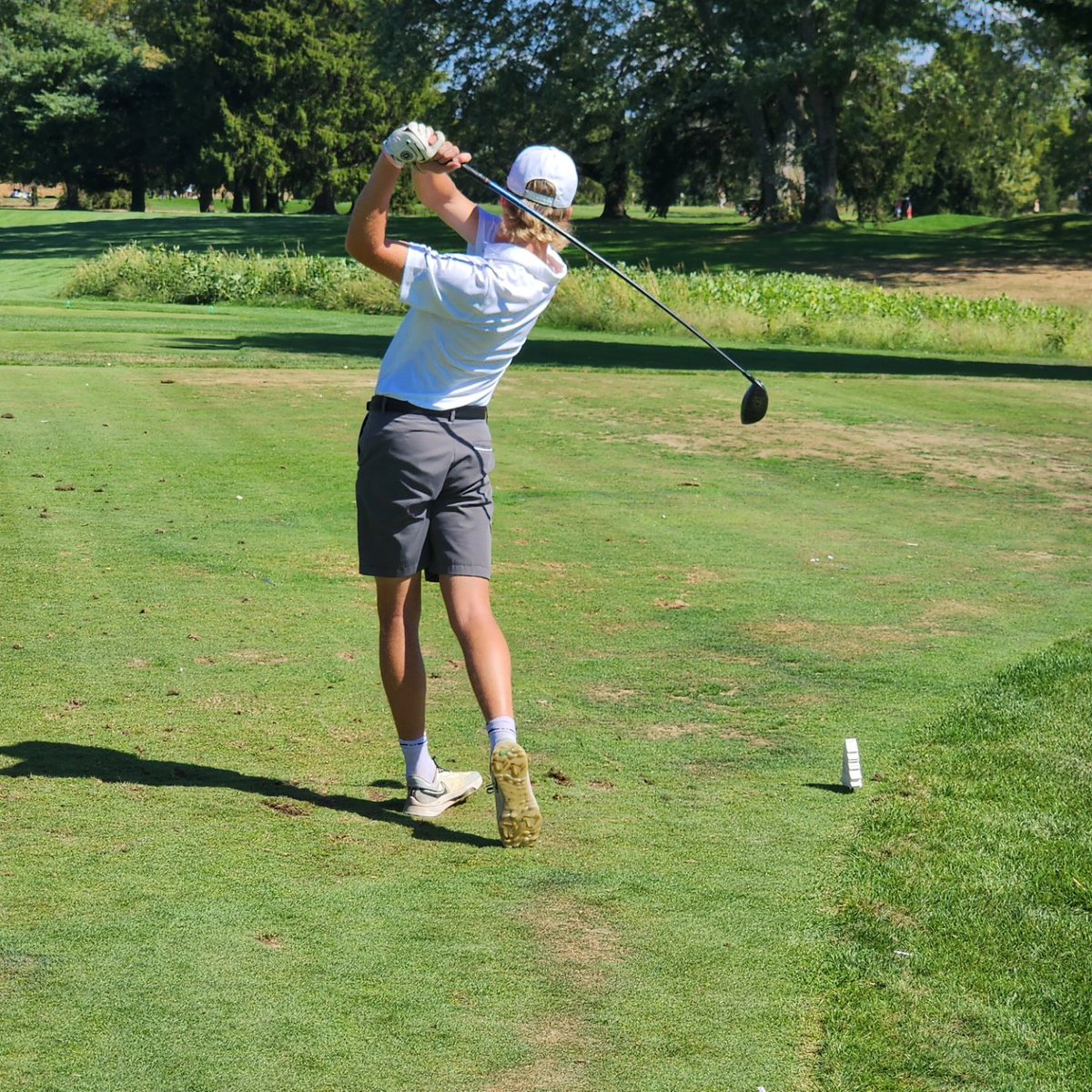 Dover Golf Team tweet media