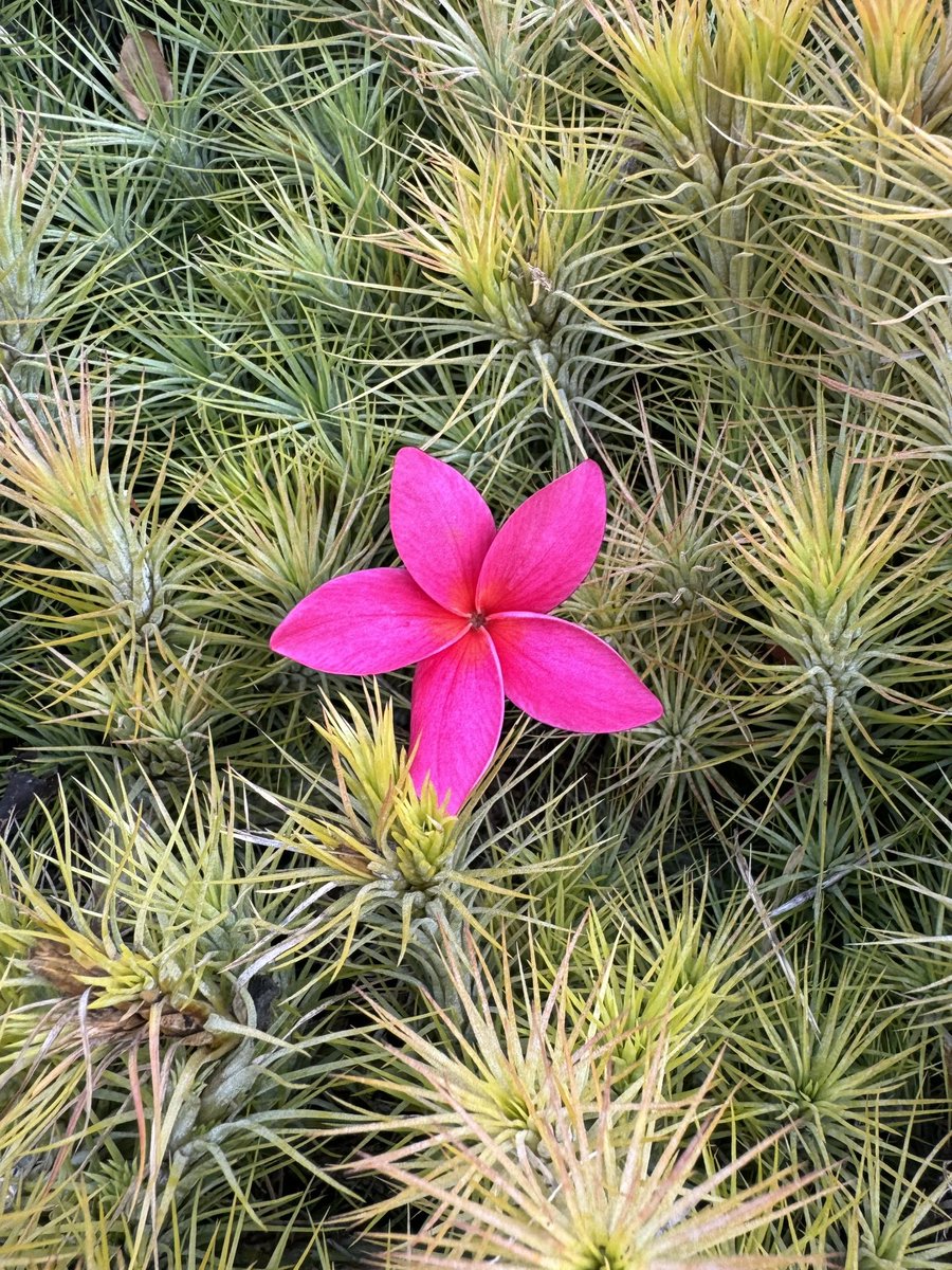 “because I carry it well
doesn’t mean it’s not heavy.”